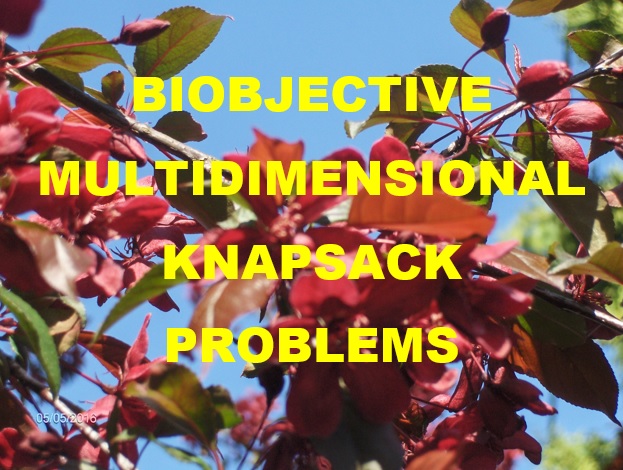 Biobjective Multidimensional Knapsack Problems