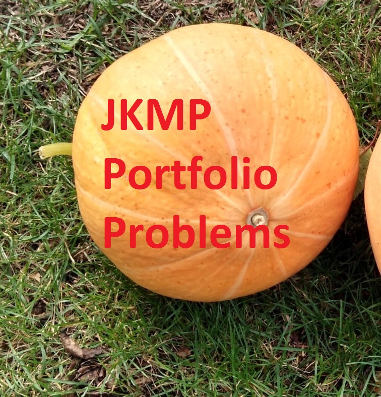 JKMP Portfolio Problems