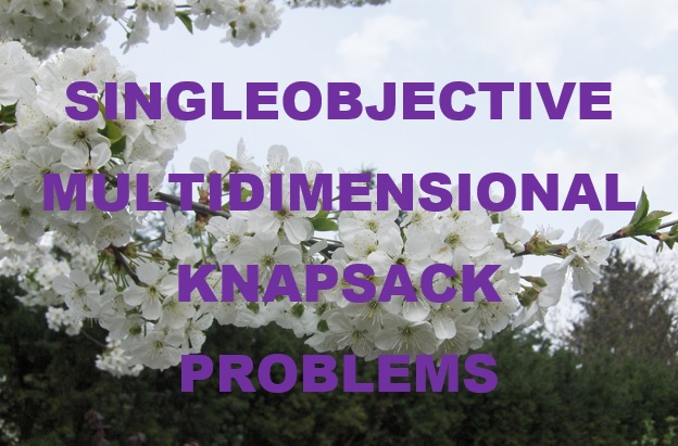 Singleobjective Multidimensional Knapsack Problems